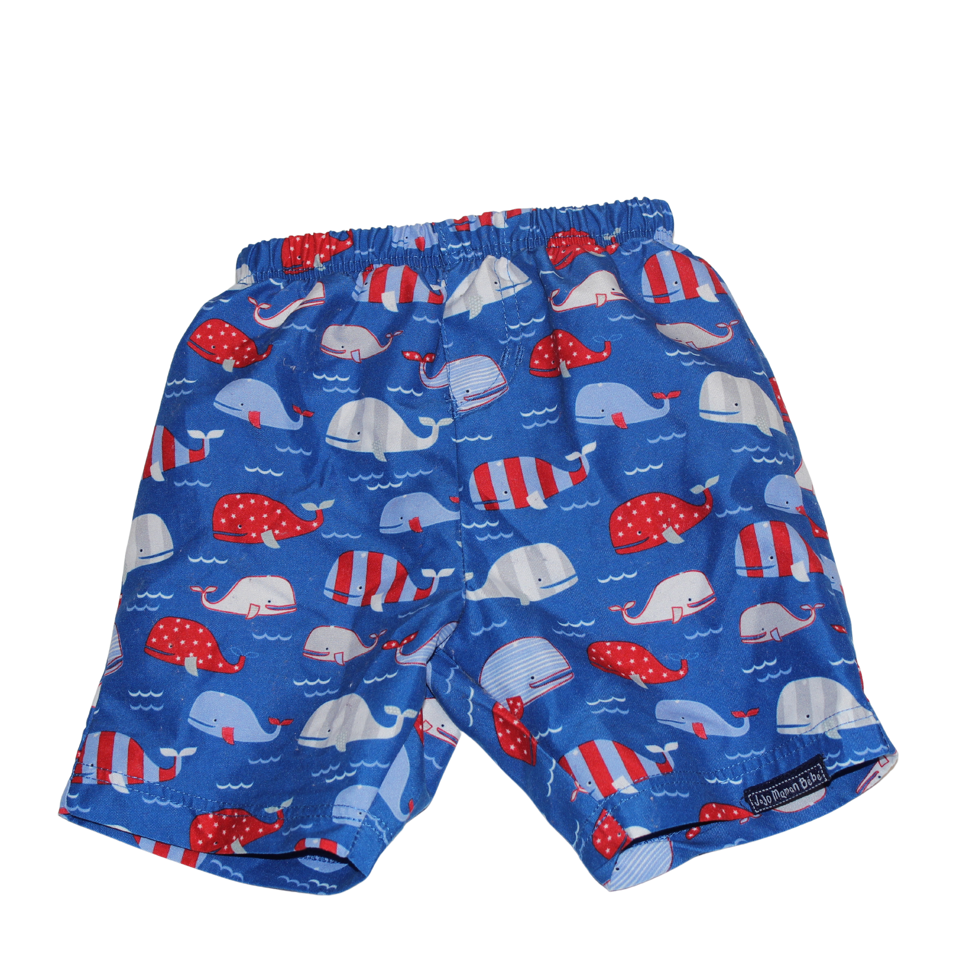 Swim Shorts with Integral Nappy