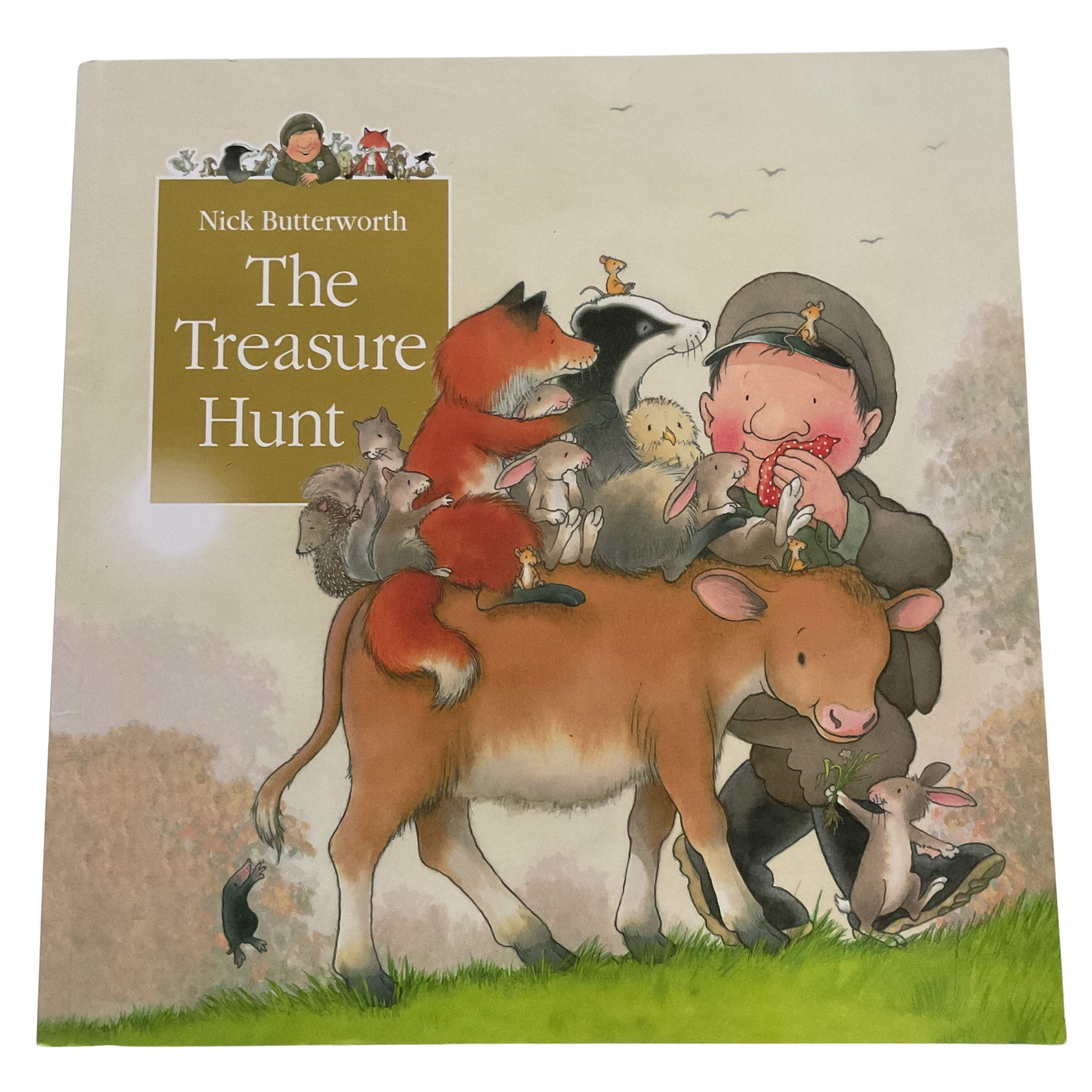 Percy the Park keeper - The Treasure Hunt - Paperback