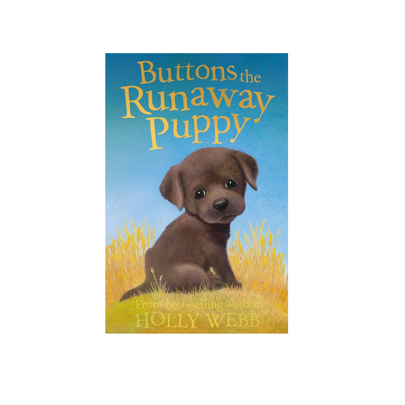 Buttons the Runaway Puppy - Paperback