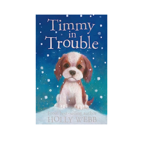 Timmy in Trouble - Paperback