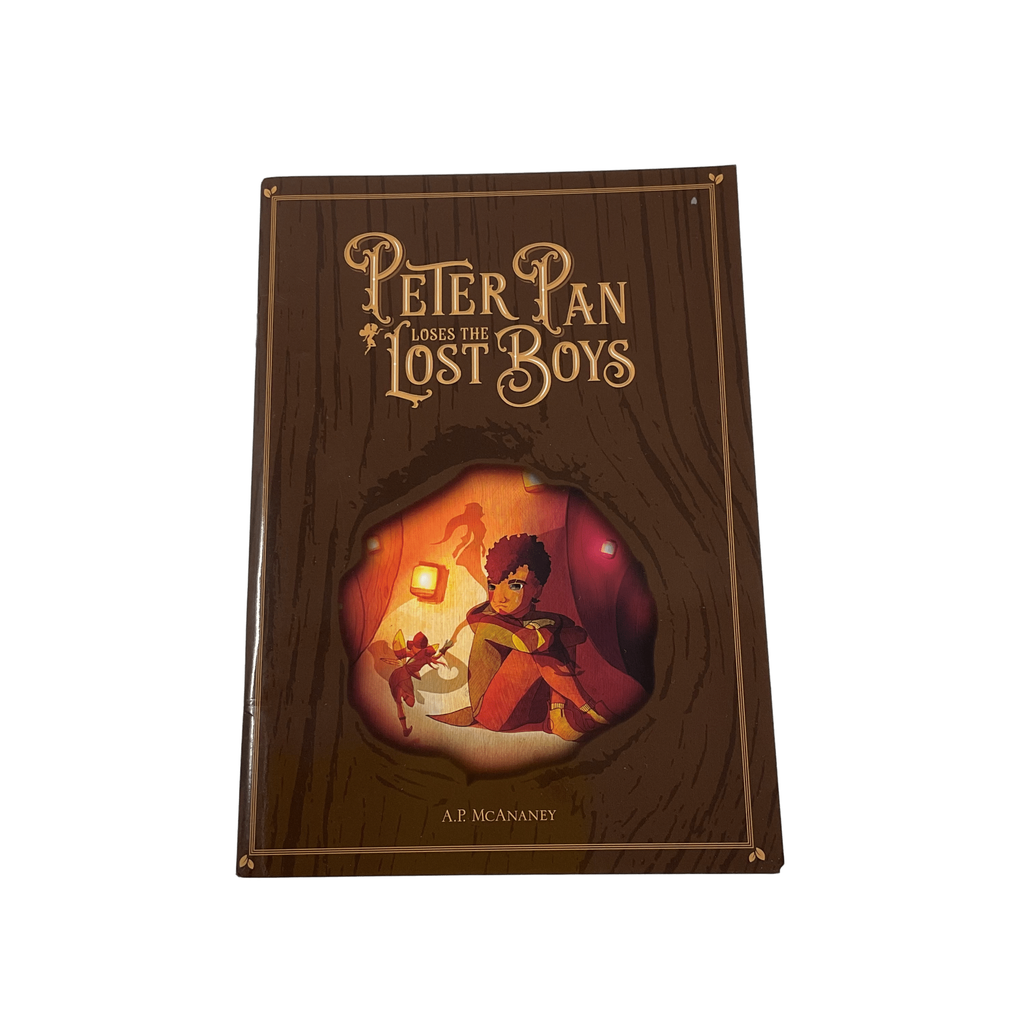 Peter Pan Loses The Lost Boys - Paper Back - 2nd Lyfe C.I.C