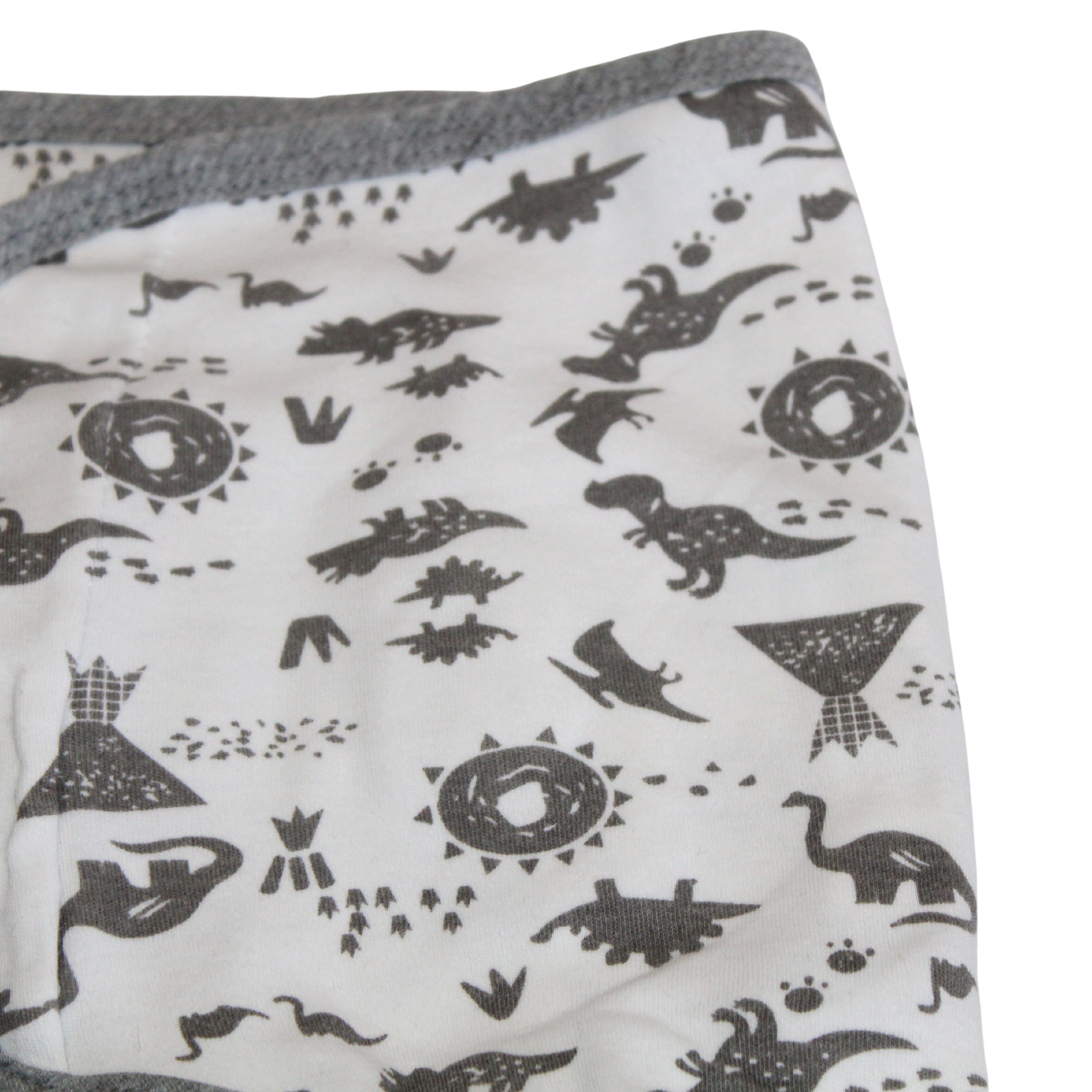 Dino Swaddle Sack