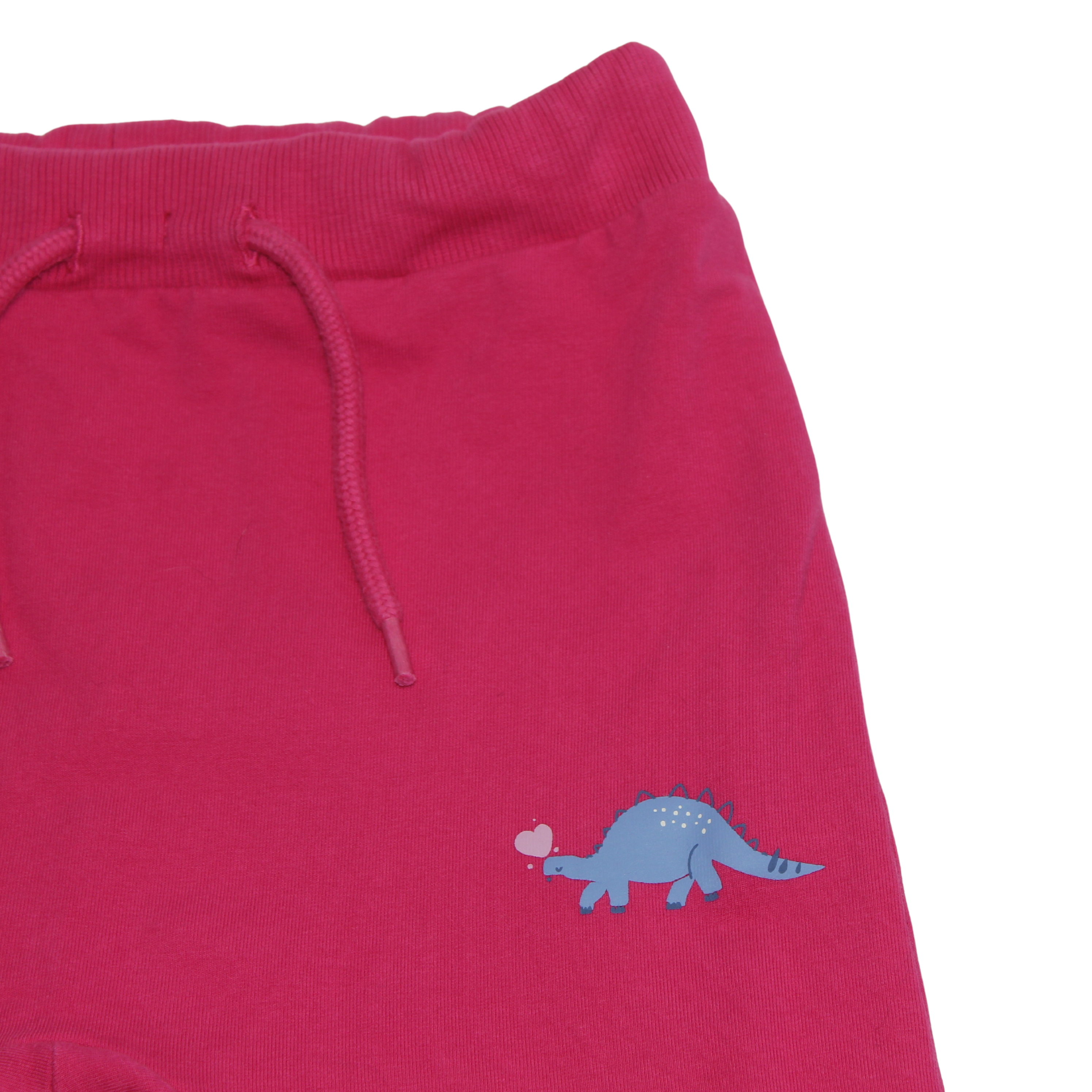 Hot Pink Dino Joggers