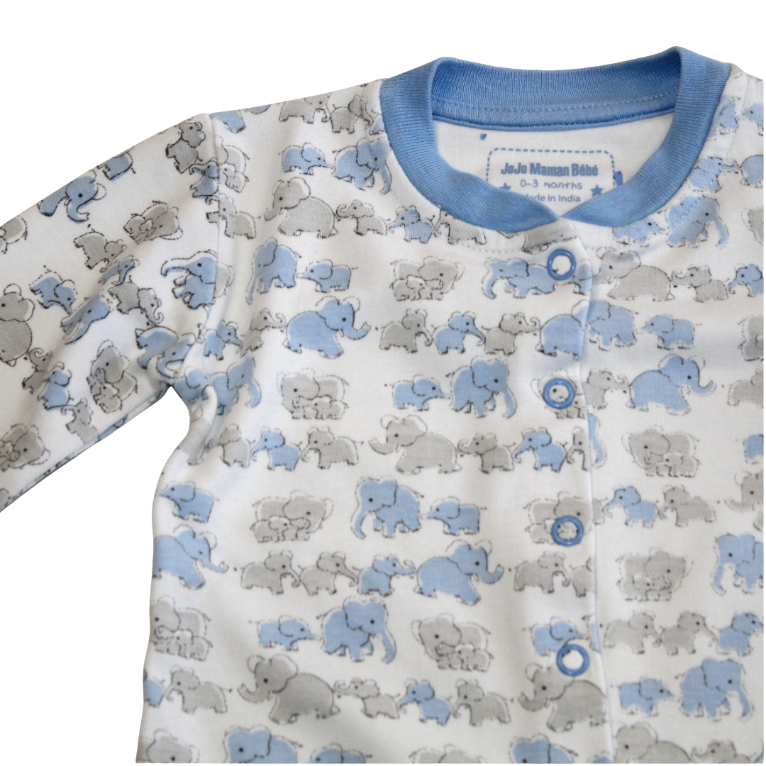 Blue Little Elephant Grow