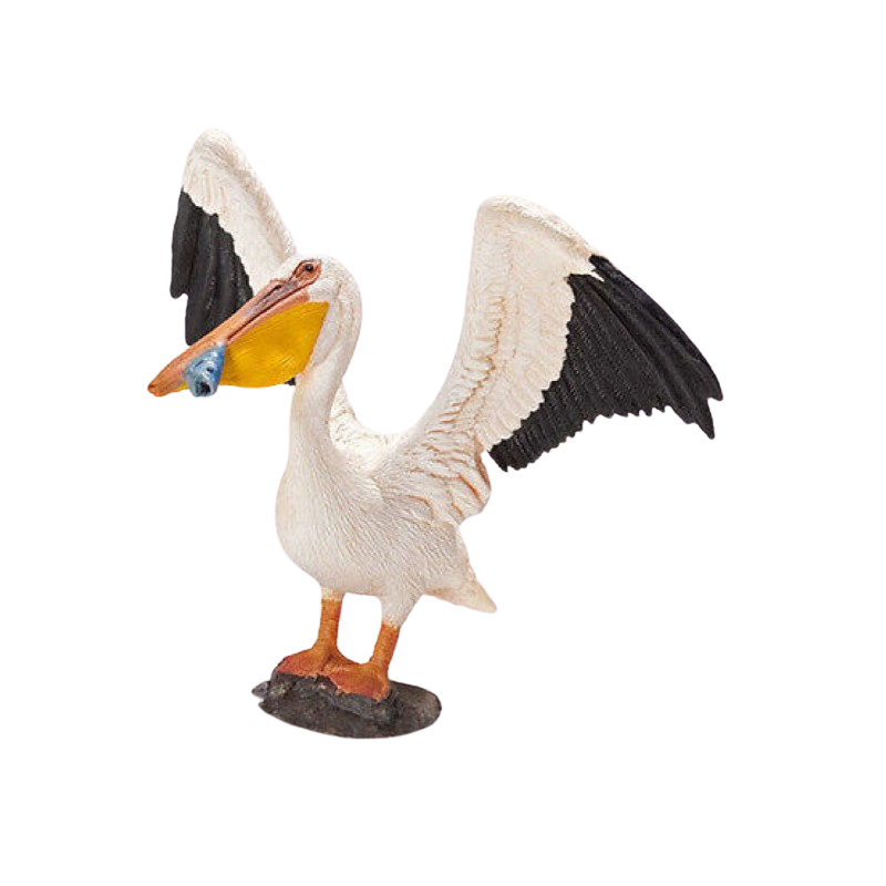 Pelican - 14673