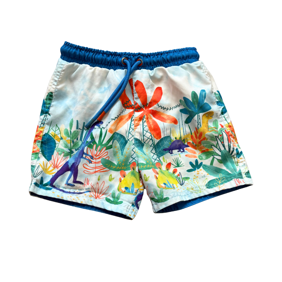 Dino Swim Trunks product image by F&F