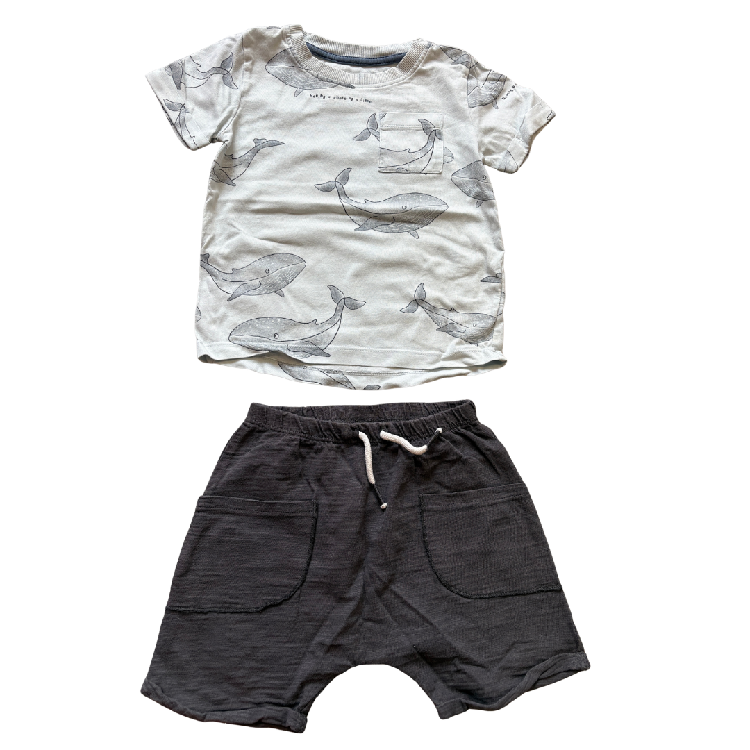 Whale Outfit product image by Next
