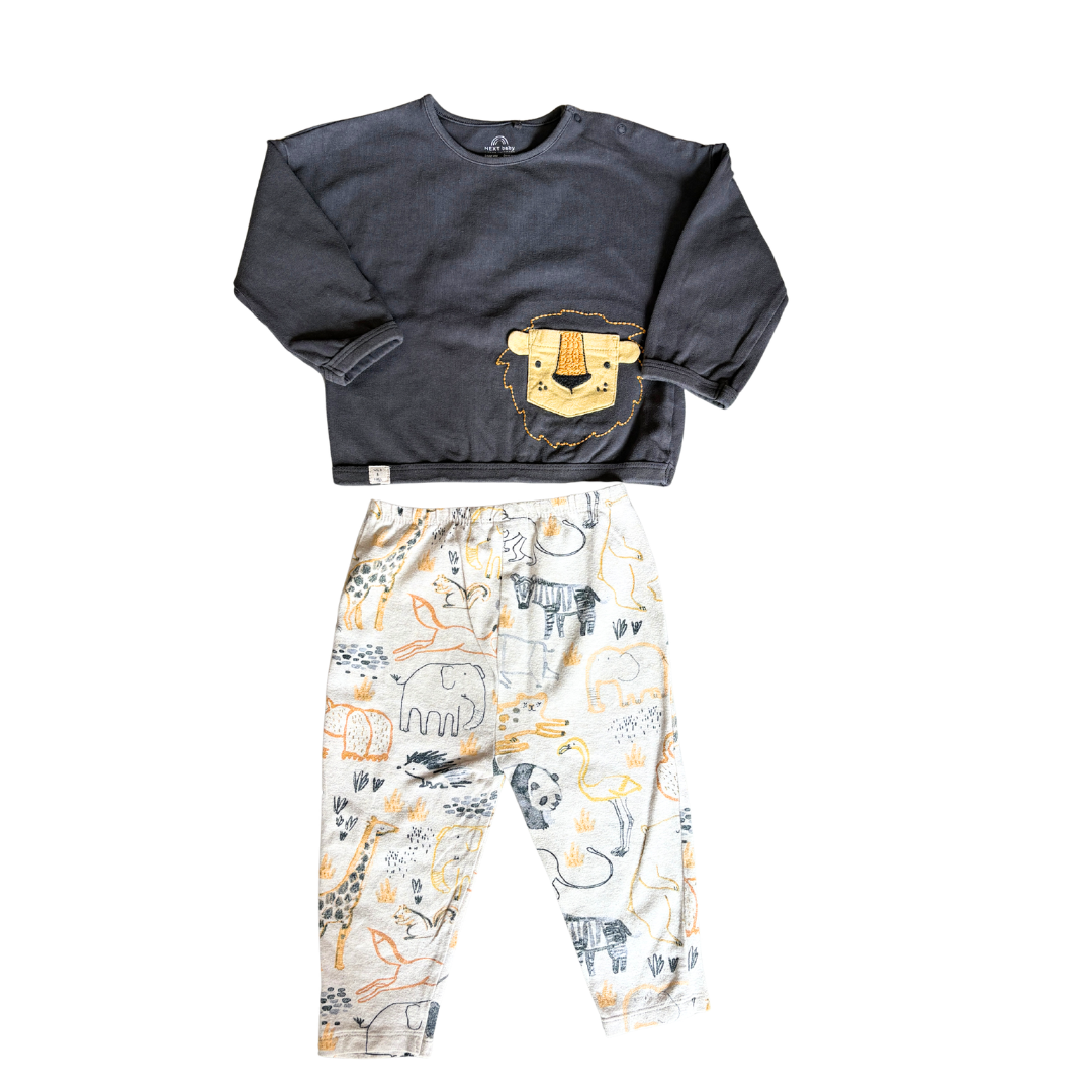 Wild at Heart Outfit product image by Next