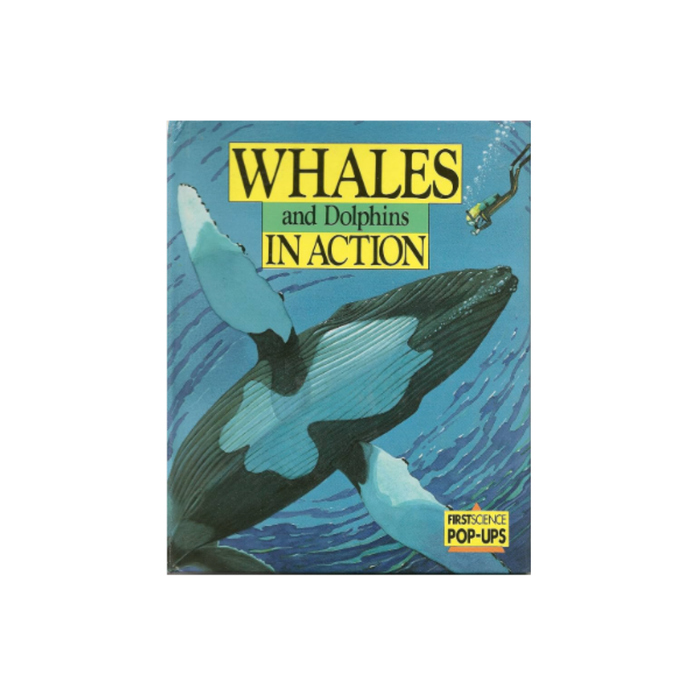 1991 Whales and Dolphins in Action - Pop Up Book product image by Child’s Play