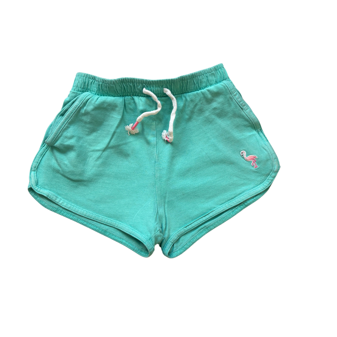 Flamingo Shorts product image by Tu