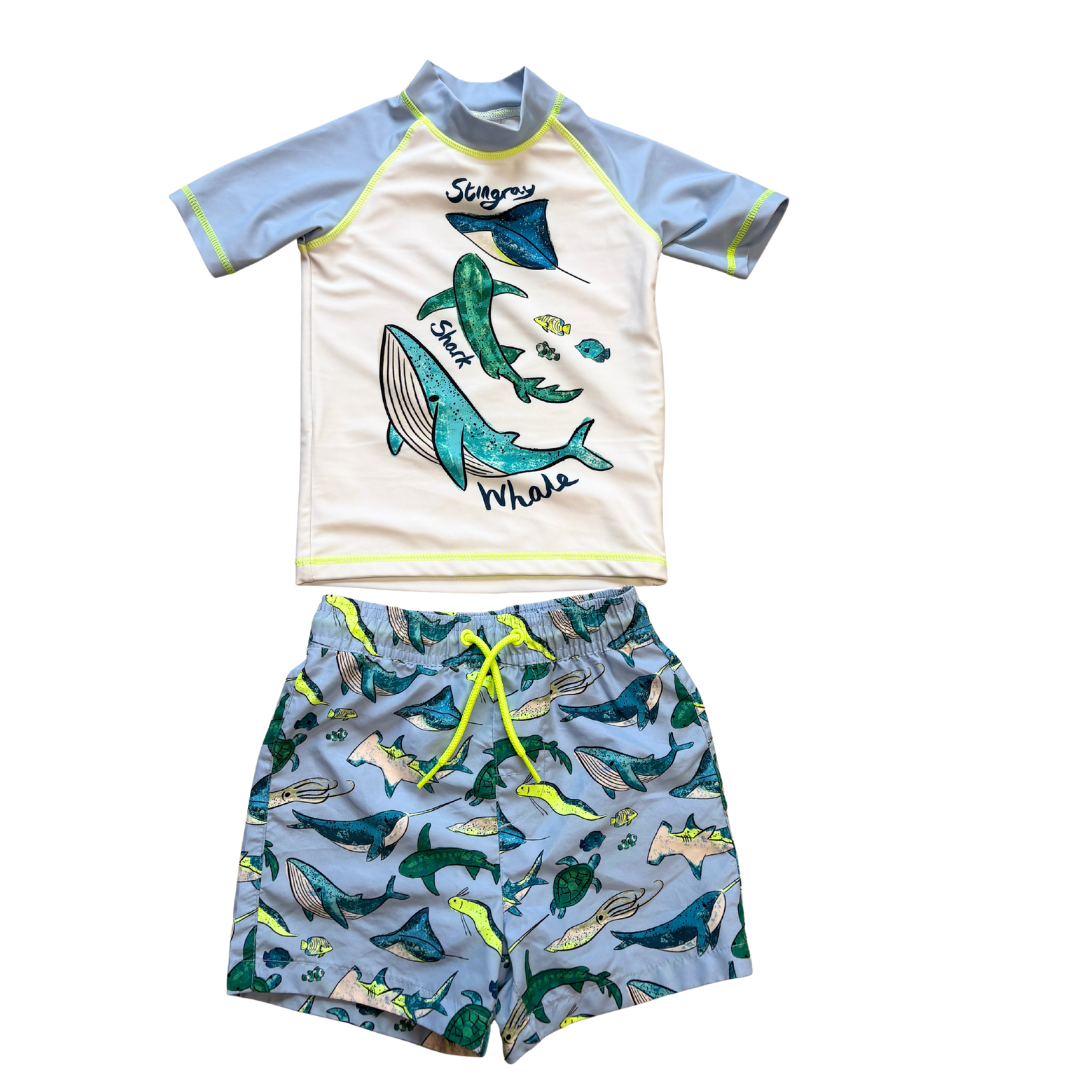 Stingray Short Sleeve Sunsafe Rash and Shorts Set product image by Next
