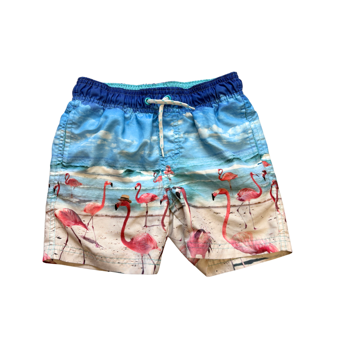 Flamingo Swim Shorts product image by Primark