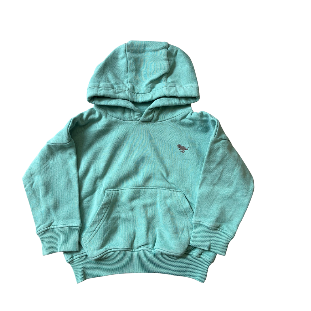 Pale Green Hoodie product image by Next