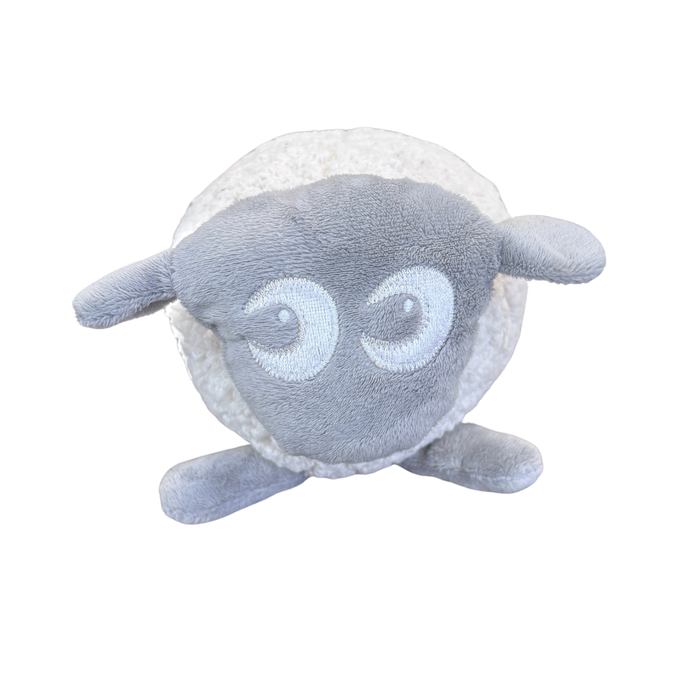 Ewan the Dream Sheep
