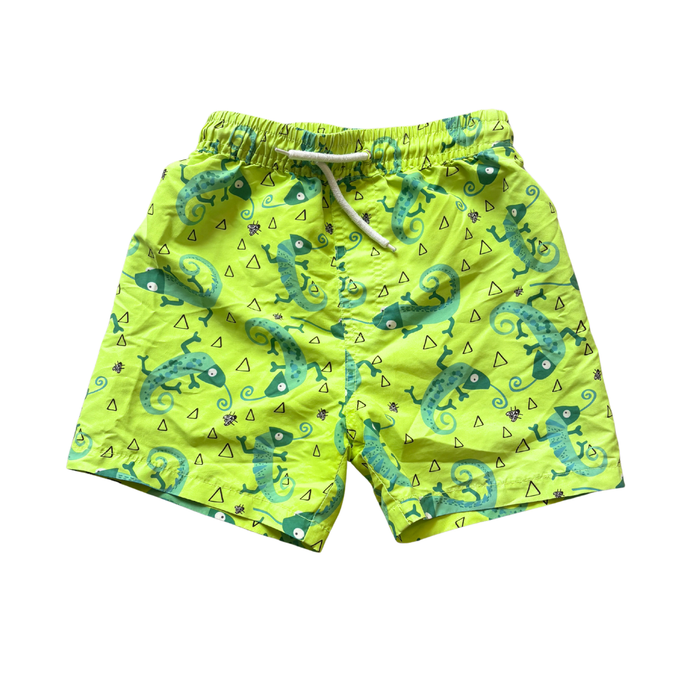 Bright Lizard Swim Shorts product image by Tu