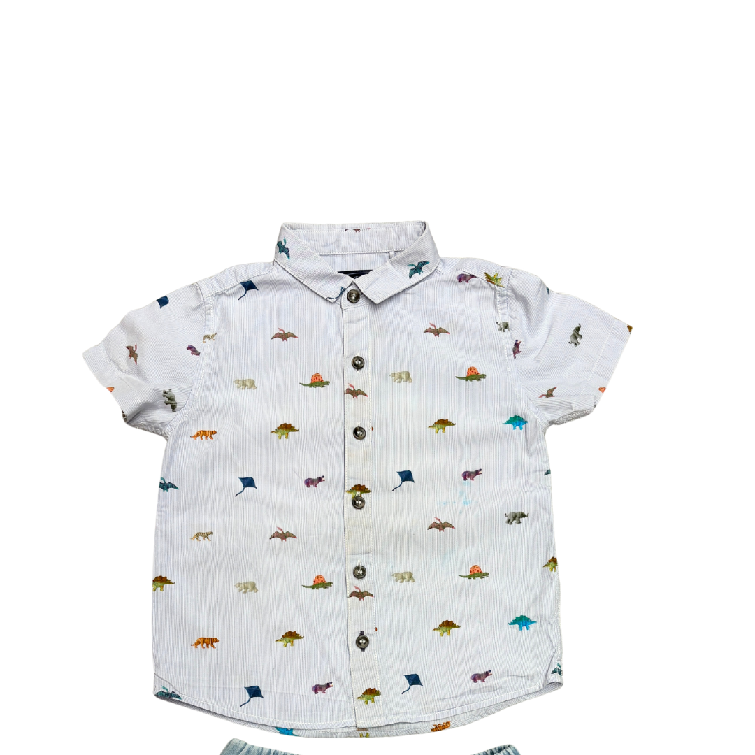 Dino Shirt product image by Next