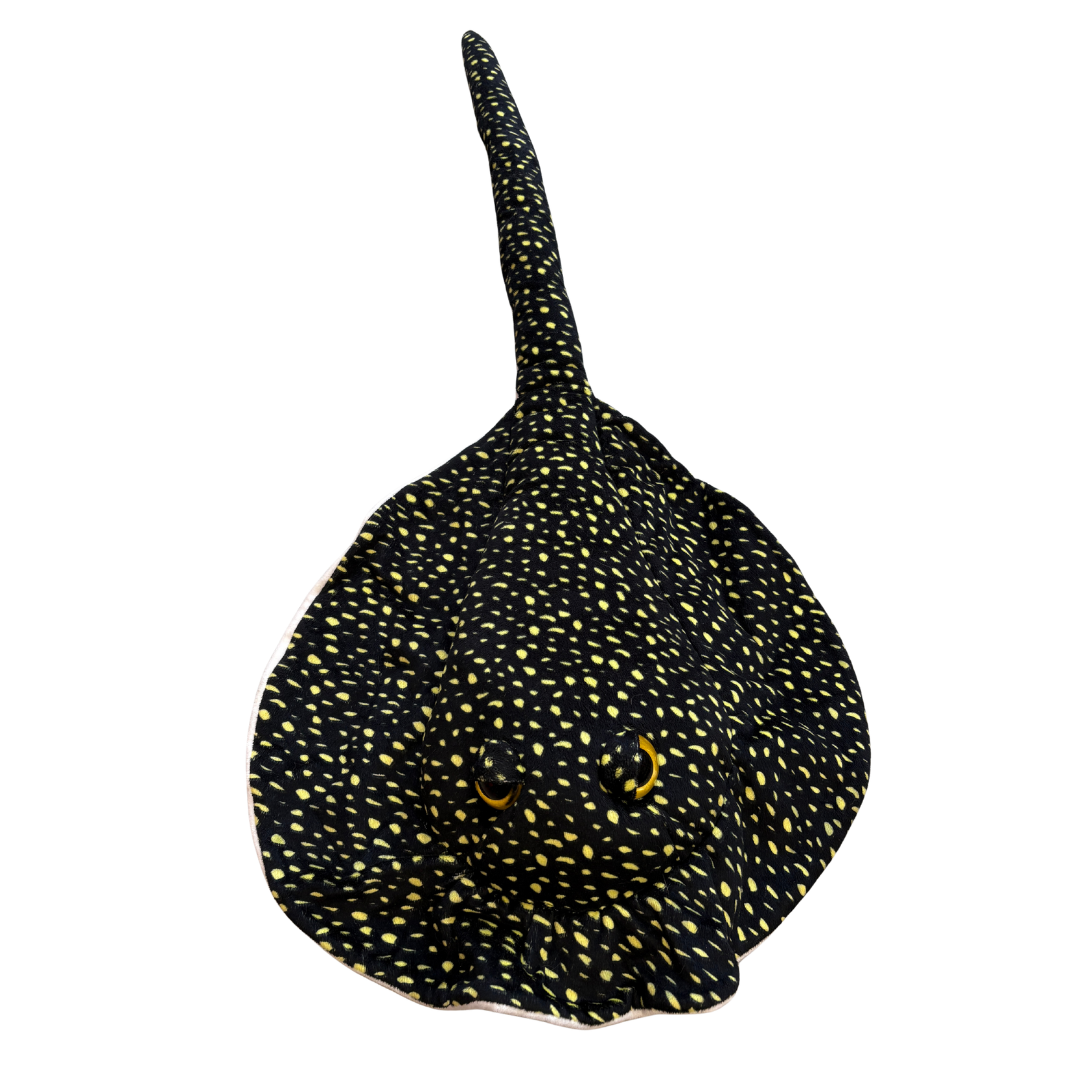 Large Black and Yellow Spotted Ray product image by Nature Planet