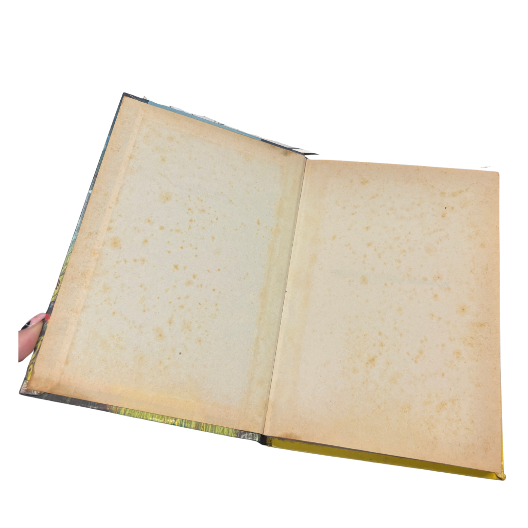 Vintage The Swiss Family Robinson - Hard Back