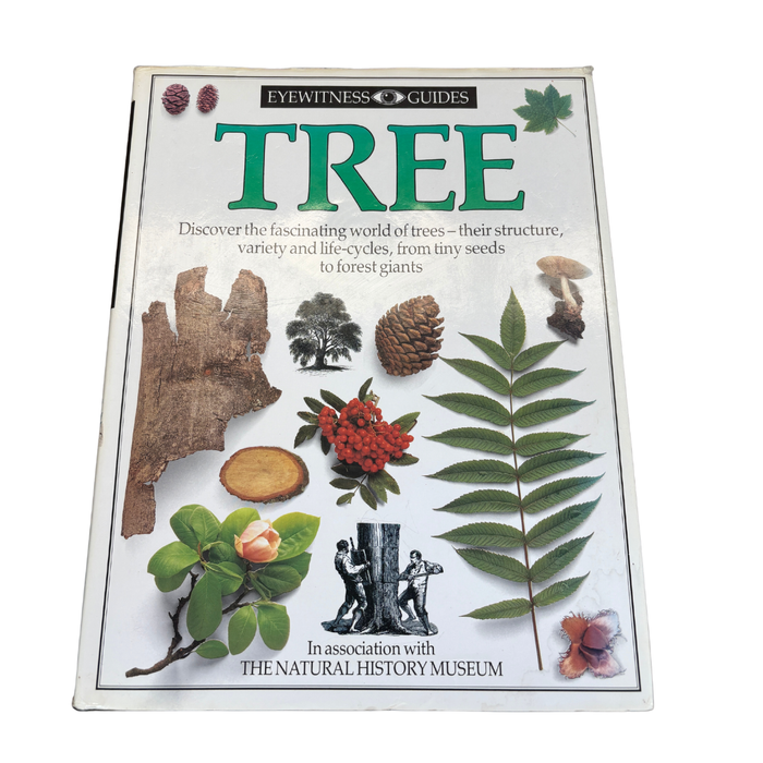 1988 Trees- Book 5 - Eyewitness Guides - Hard Back image 1 of 2 by Dorling Kindersley