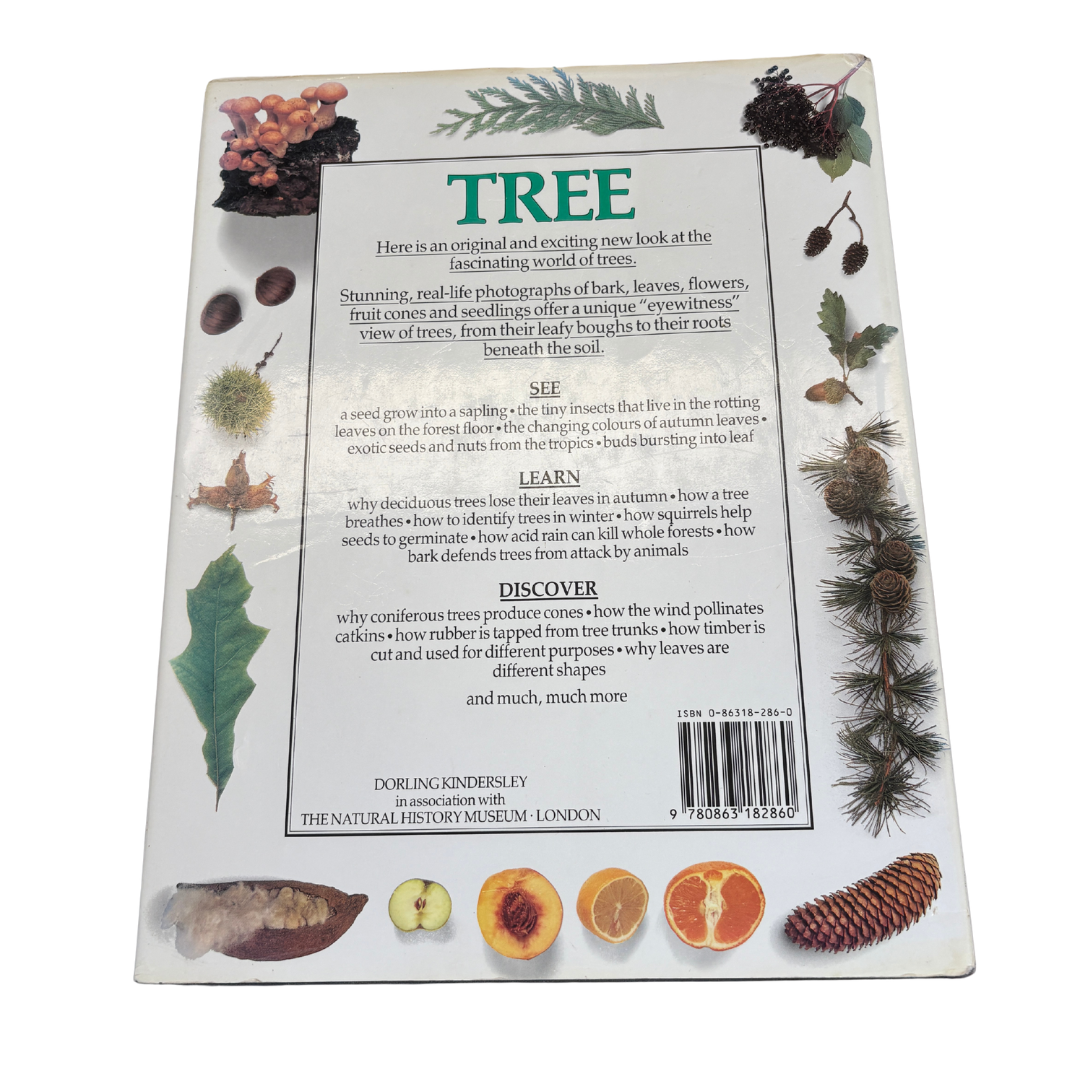 1988 Trees- Book 5 - Eyewitness Guides - Hard Back image 2 of 2 by Dorling Kindersley