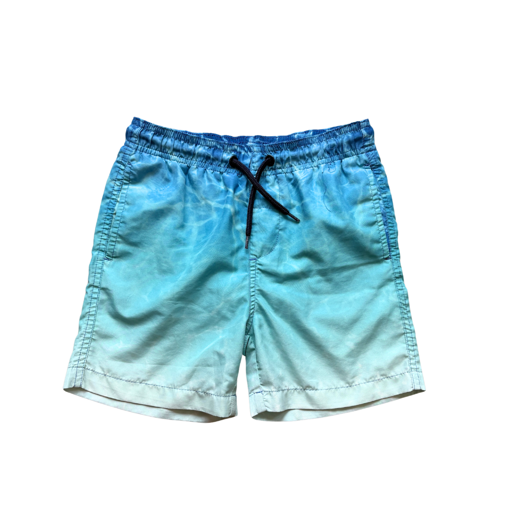 Ombre Swim Shorts product image by Peacocks