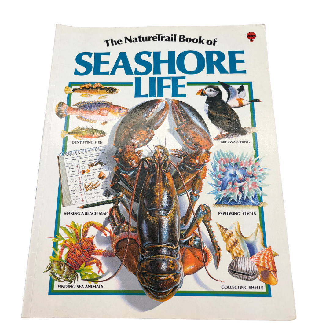 1976 The Nature Trail Book of Seashore Life - Paper Back product image by Usborne