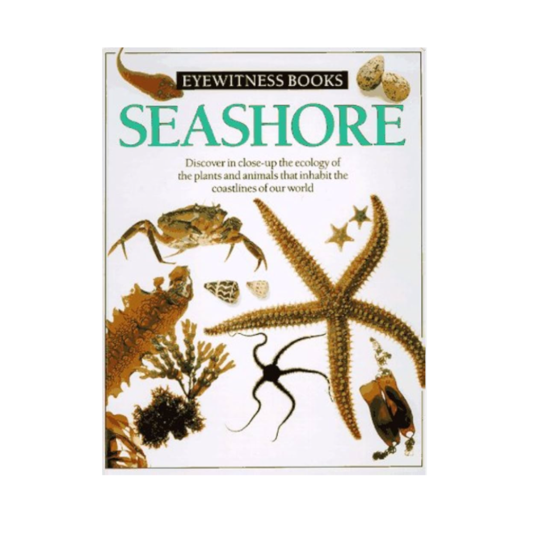 1990 Seashore - Book 15 - Eyewitness Guides - Hard Back product image by Dorling Kindersley