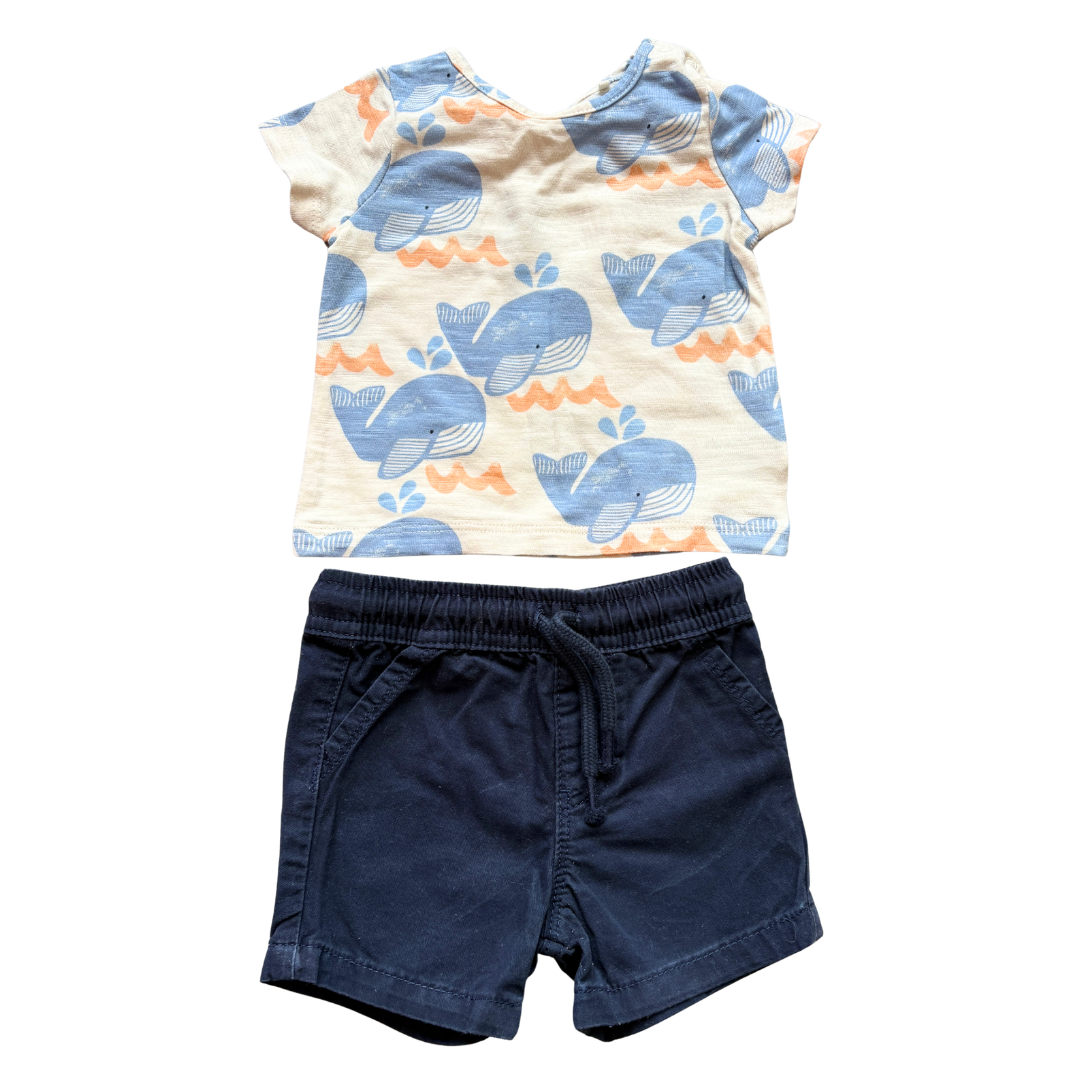 Whale Outfit product image by Next
