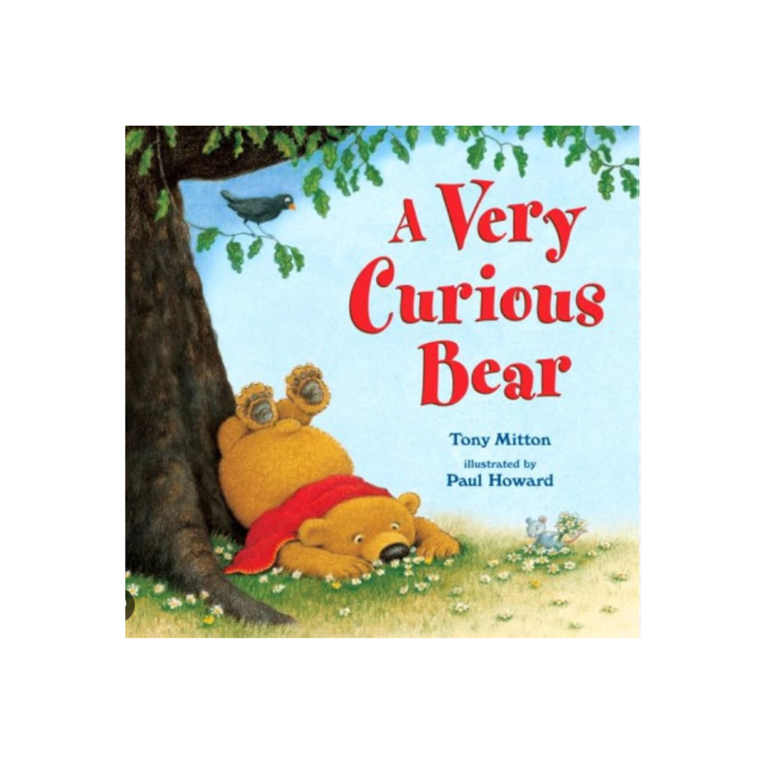 A Very Curious Bear - Hard Back product image by Orchard