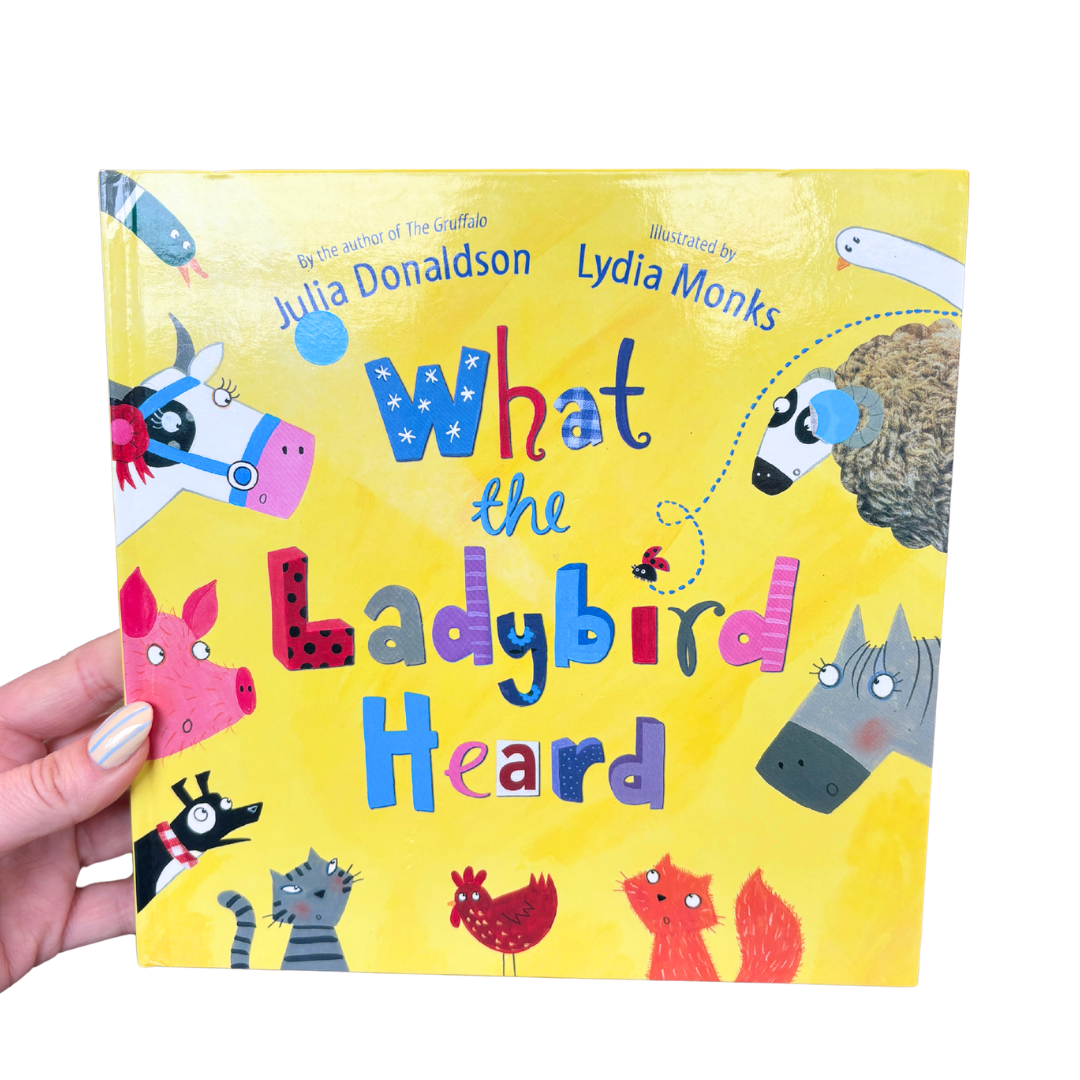 What the Ladybird Heard - Hard Back product image by Macmillan