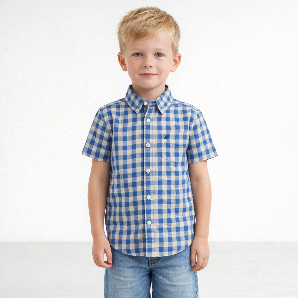 AI image for Check Short Sleeved Shirt