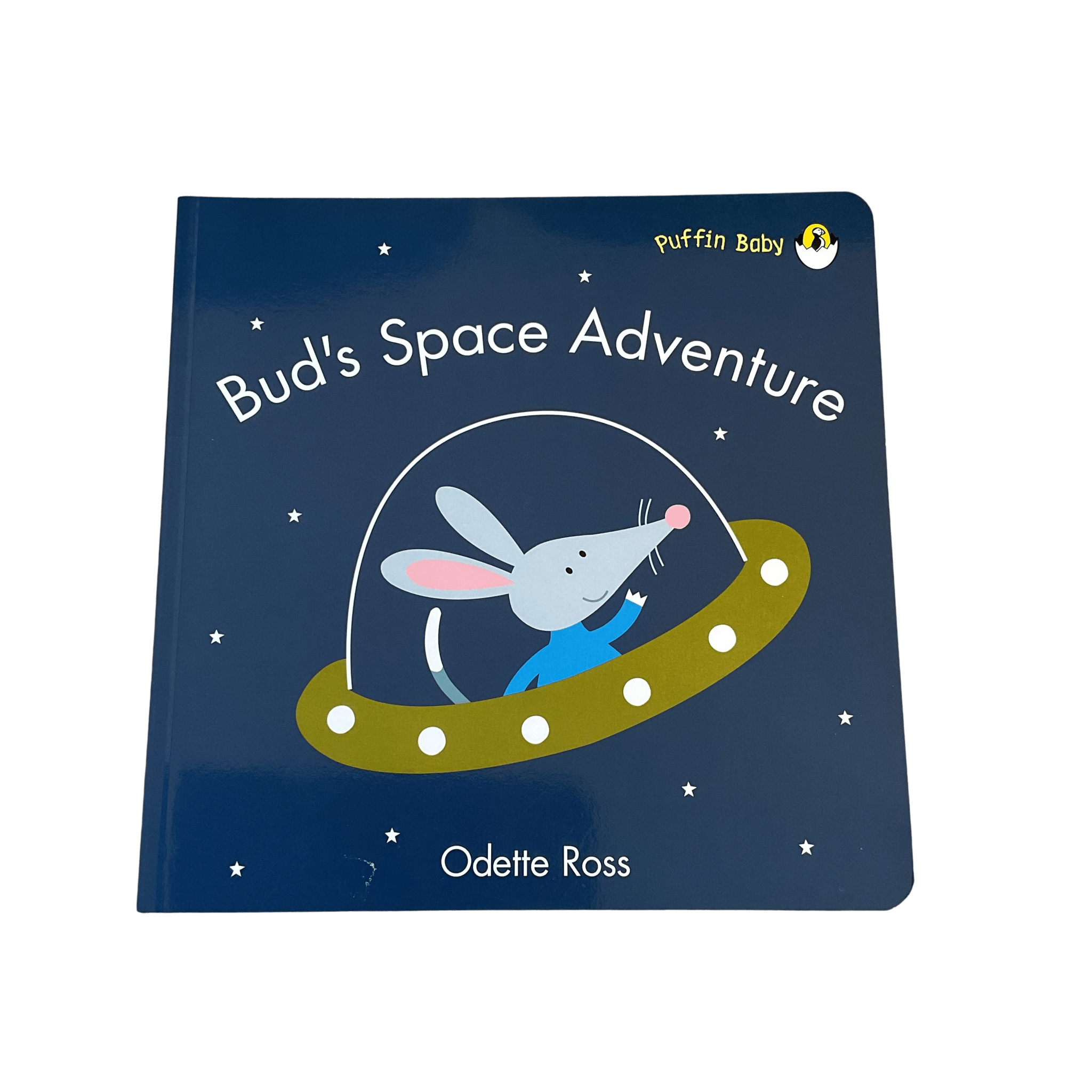 Bud's Space Adventure - Paper Back - 2nd Lyfe C.I.C