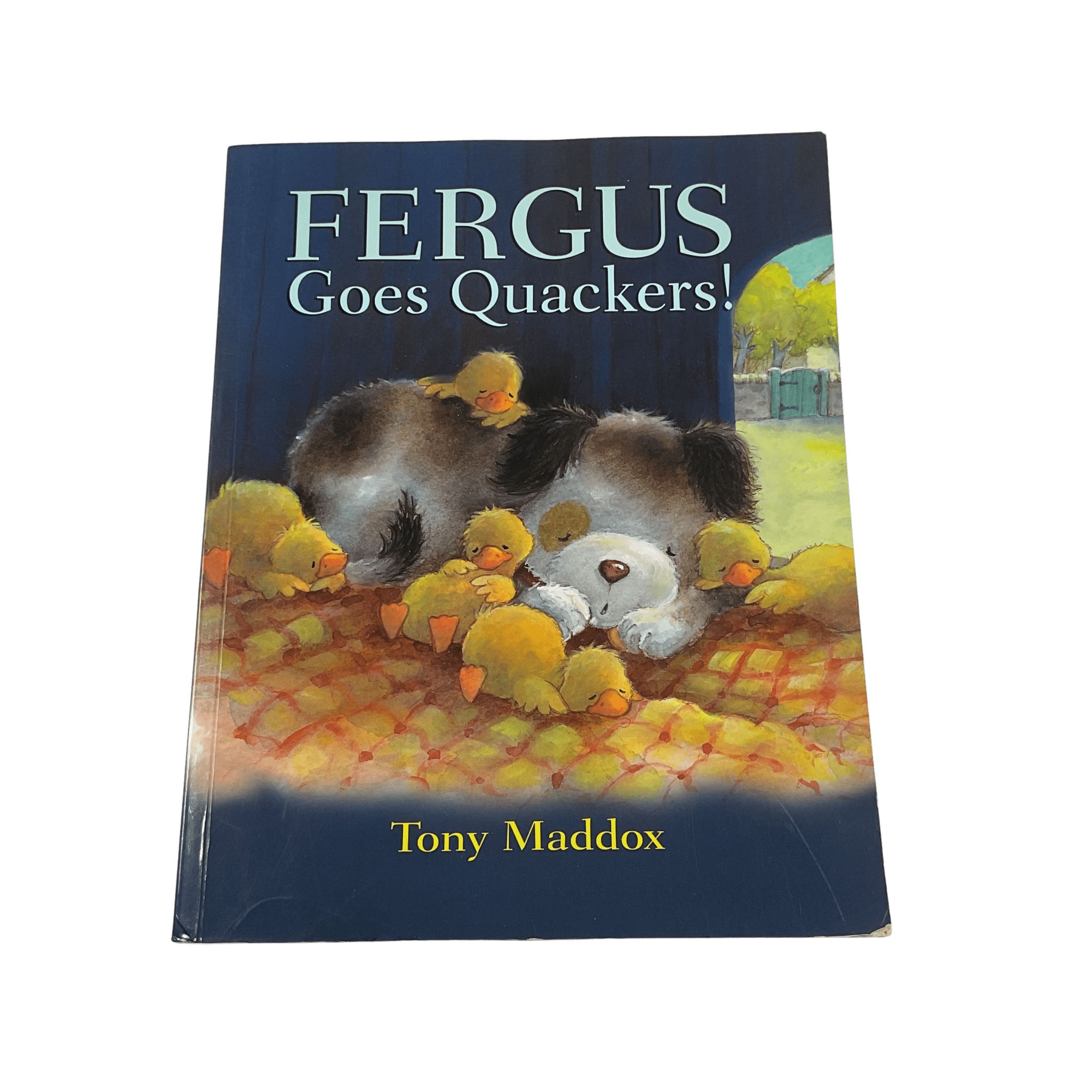 Fergus Goes Quackers! - Paperback - 2nd Lyfe C.I.C