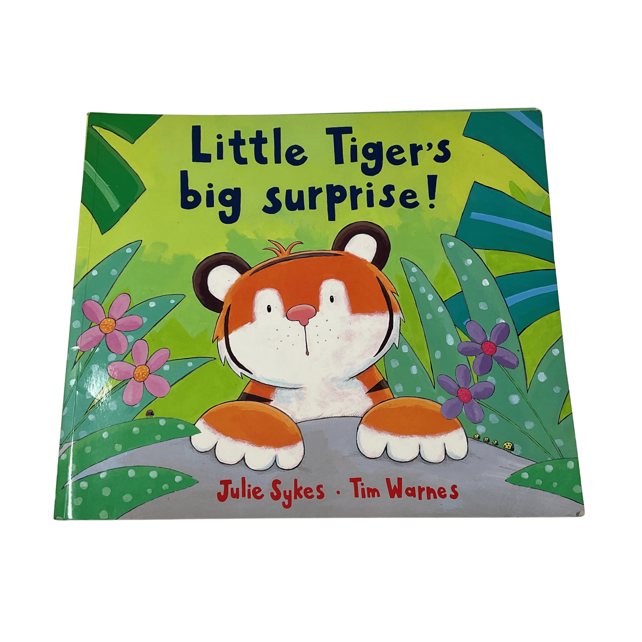 Little Tiger’s Big Surprise - Paperback - 2nd Lyfe C.I.C