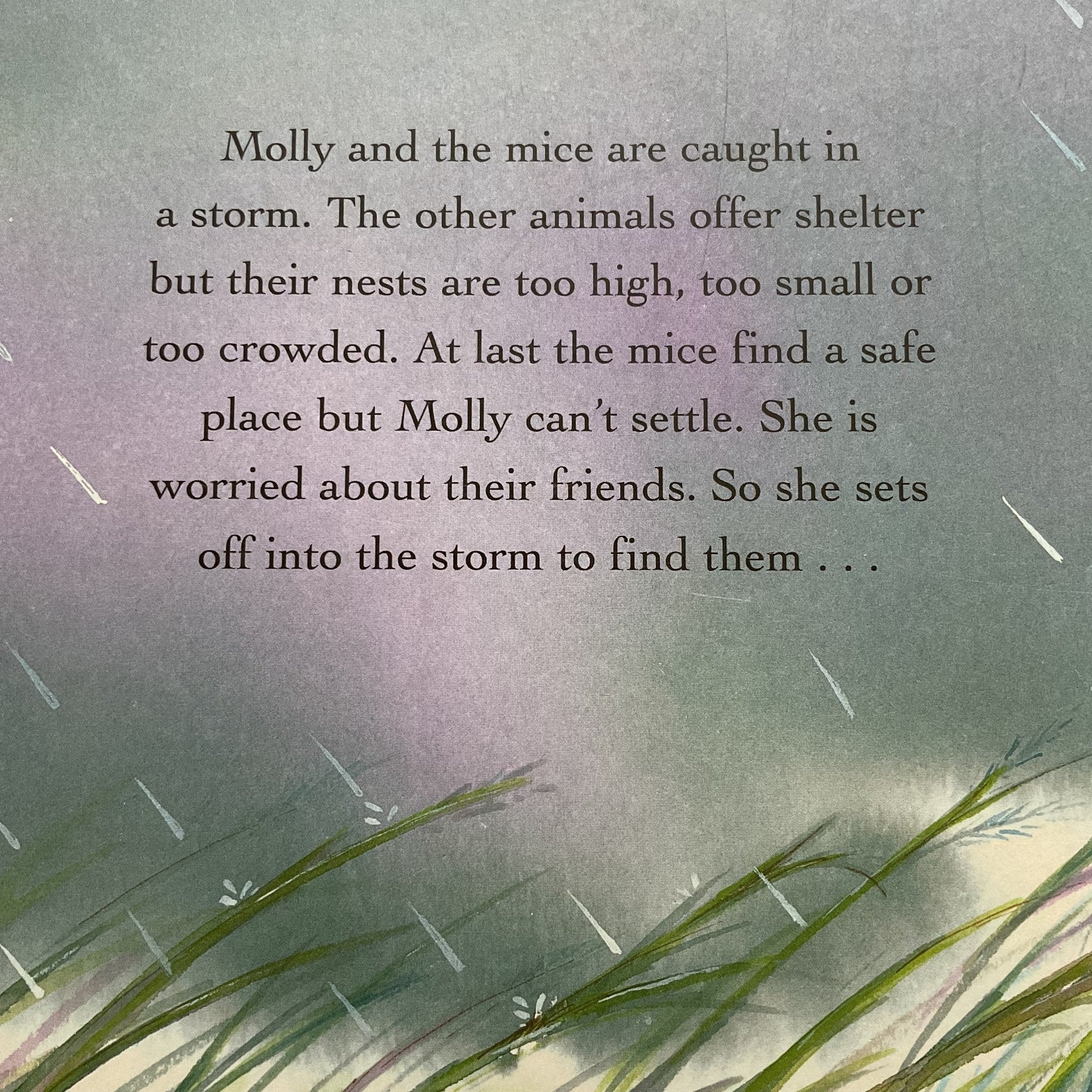 Molly and the Storm - Hardback - 2nd Lyfe C.I.C