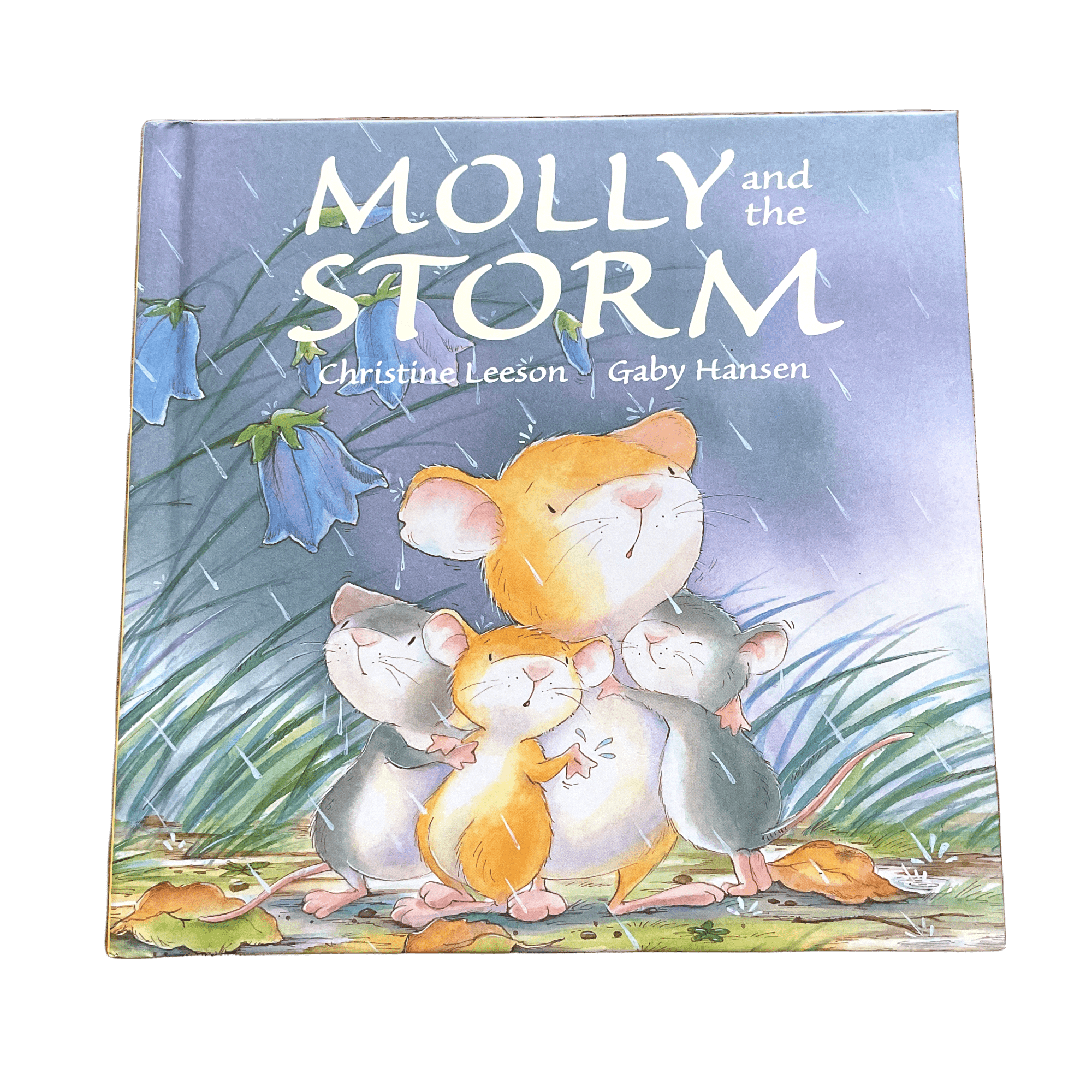 Molly and the Storm - Hardback - 2nd Lyfe C.I.C