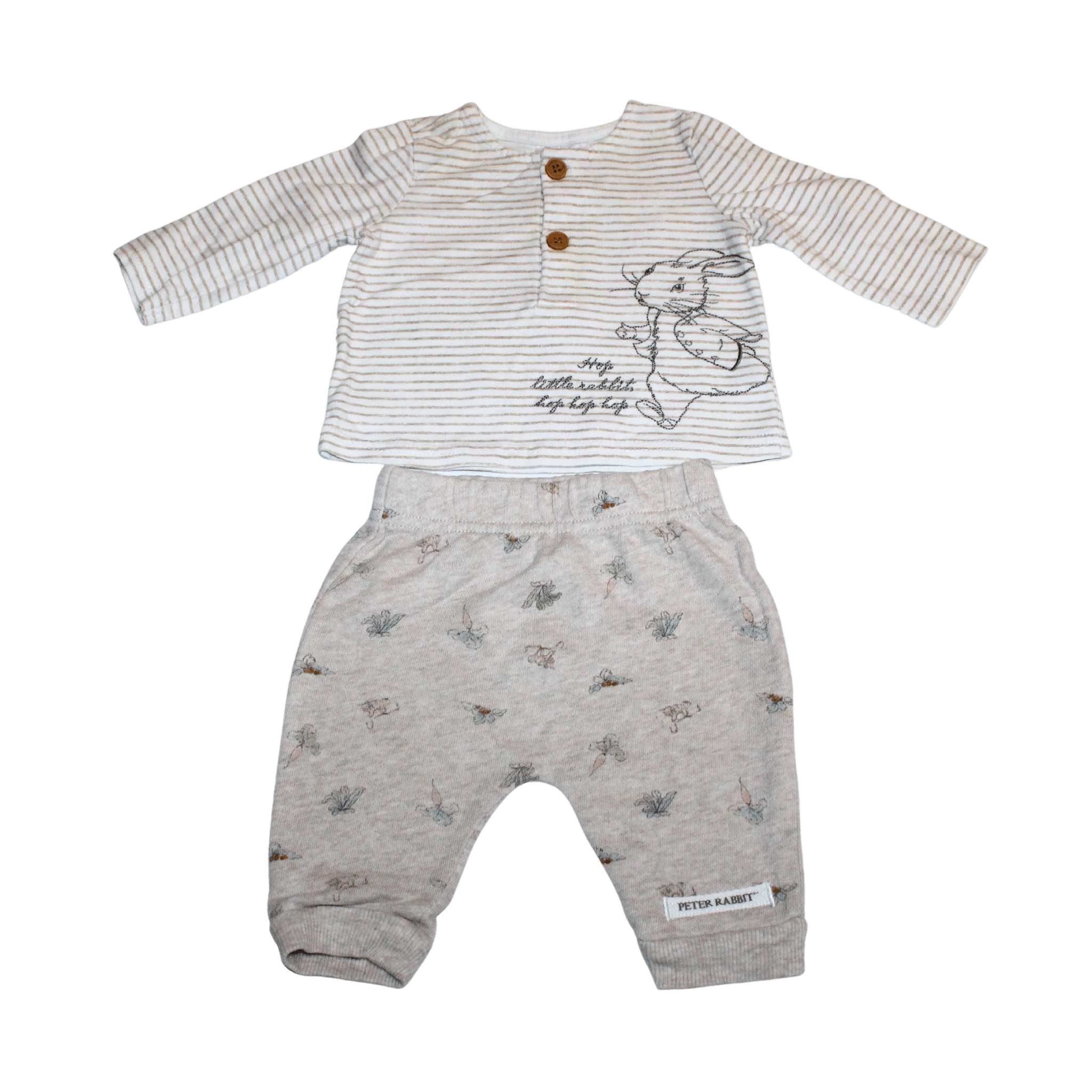 Peter Rabbit Outfit - 2nd Lyfe C.I.C