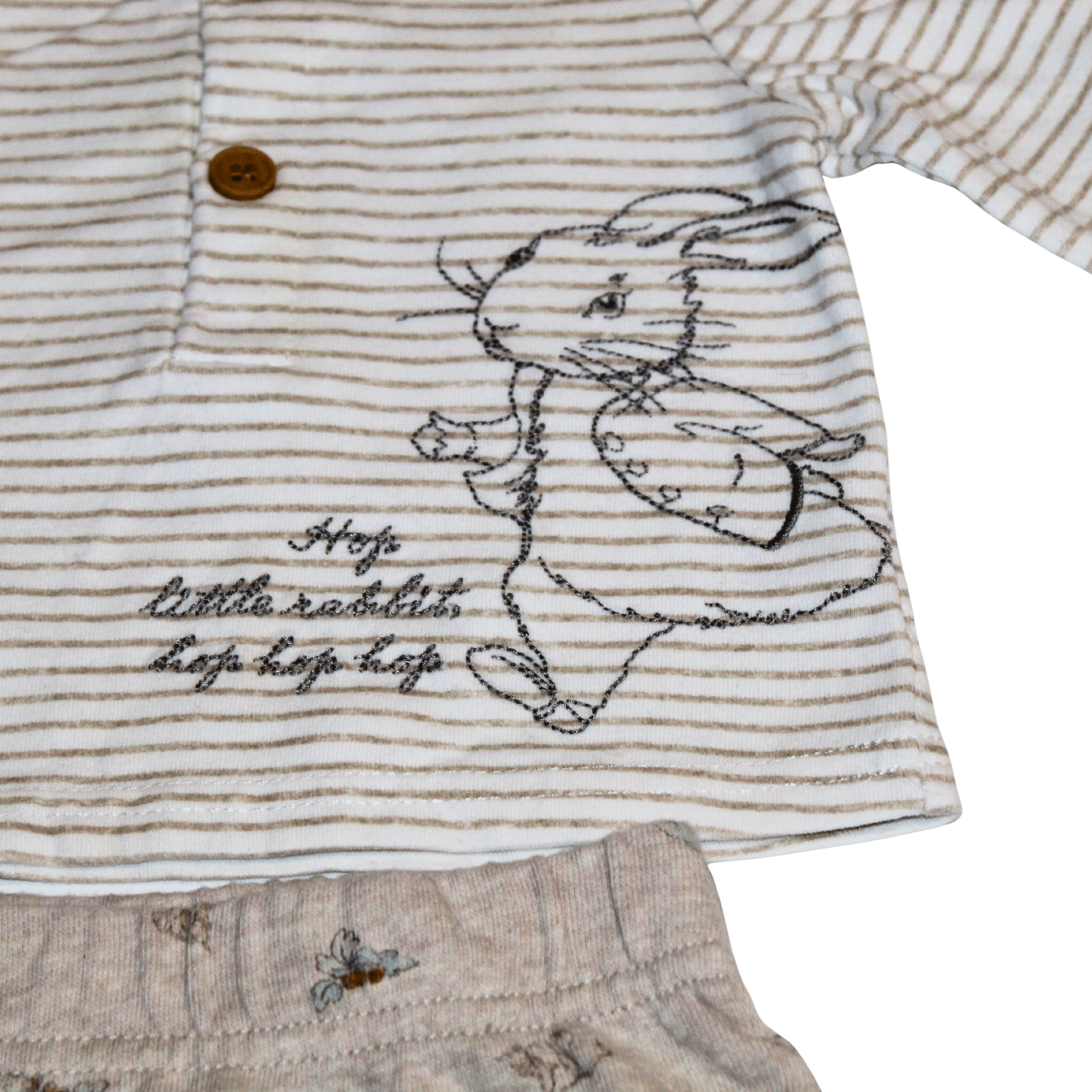 Peter Rabbit Outfit - 2nd Lyfe C.I.C