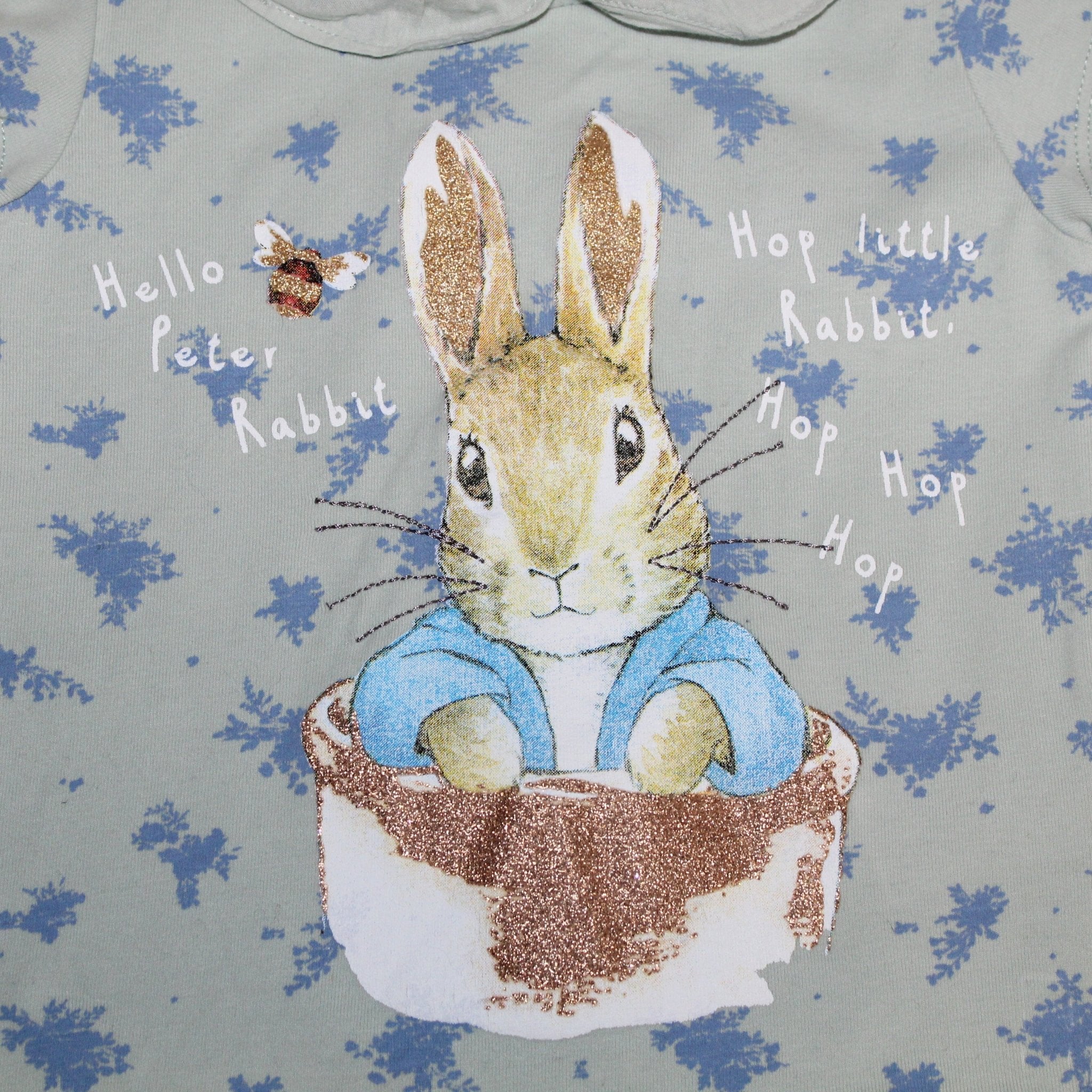 Peter Rabbit Summer Outfit - 2nd Lyfe C.I.C