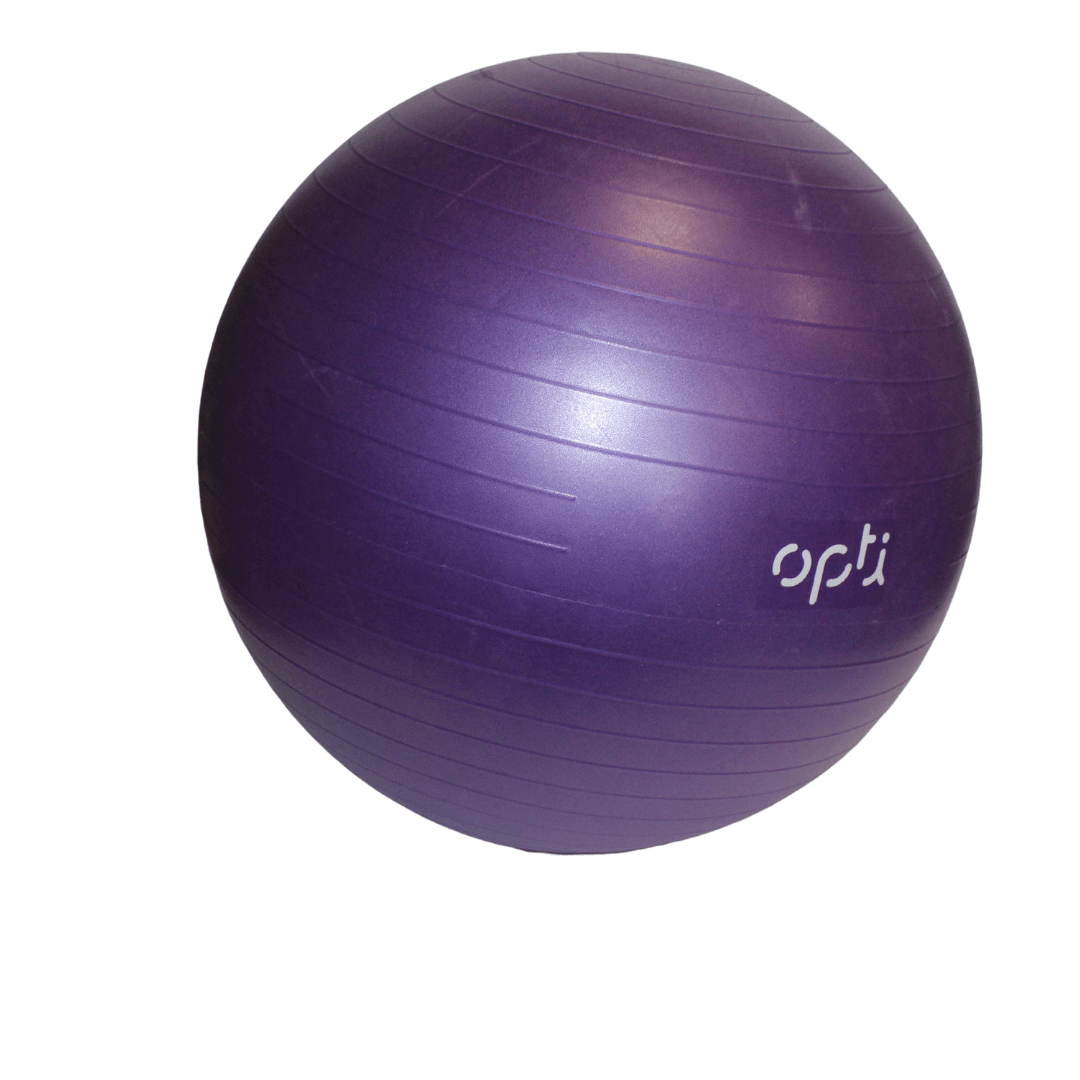 Purple Gym Ball - 2nd Lyfe C.I.C