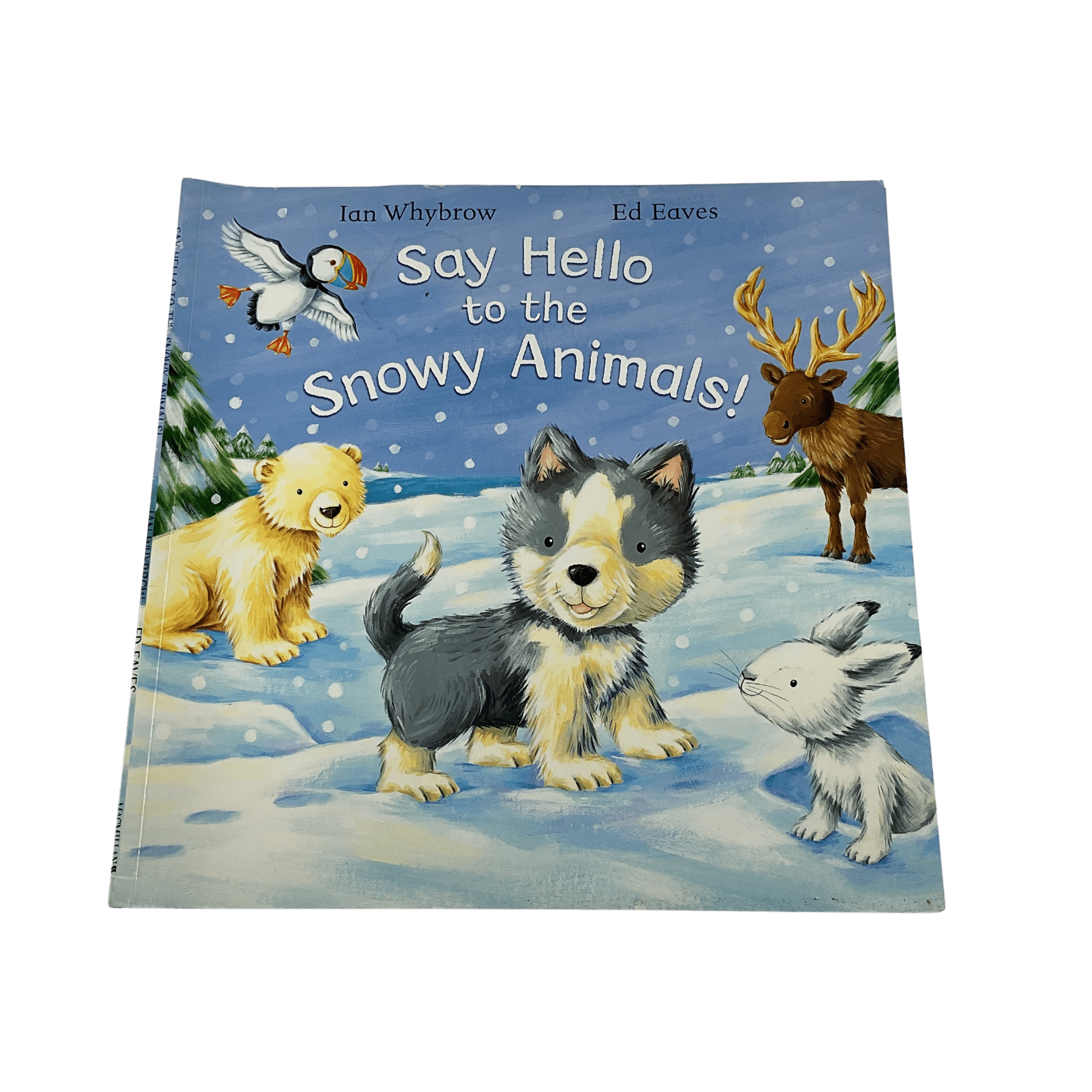 Say Hello To The Snowy Animals - Paperback - 2nd Lyfe C.I.C