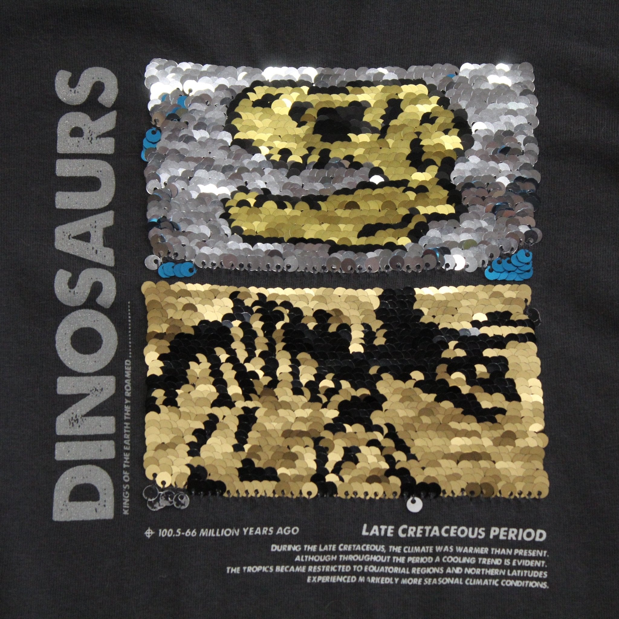 Sequin Dinosaur Tshirt - 2nd Lyfe C.I.C