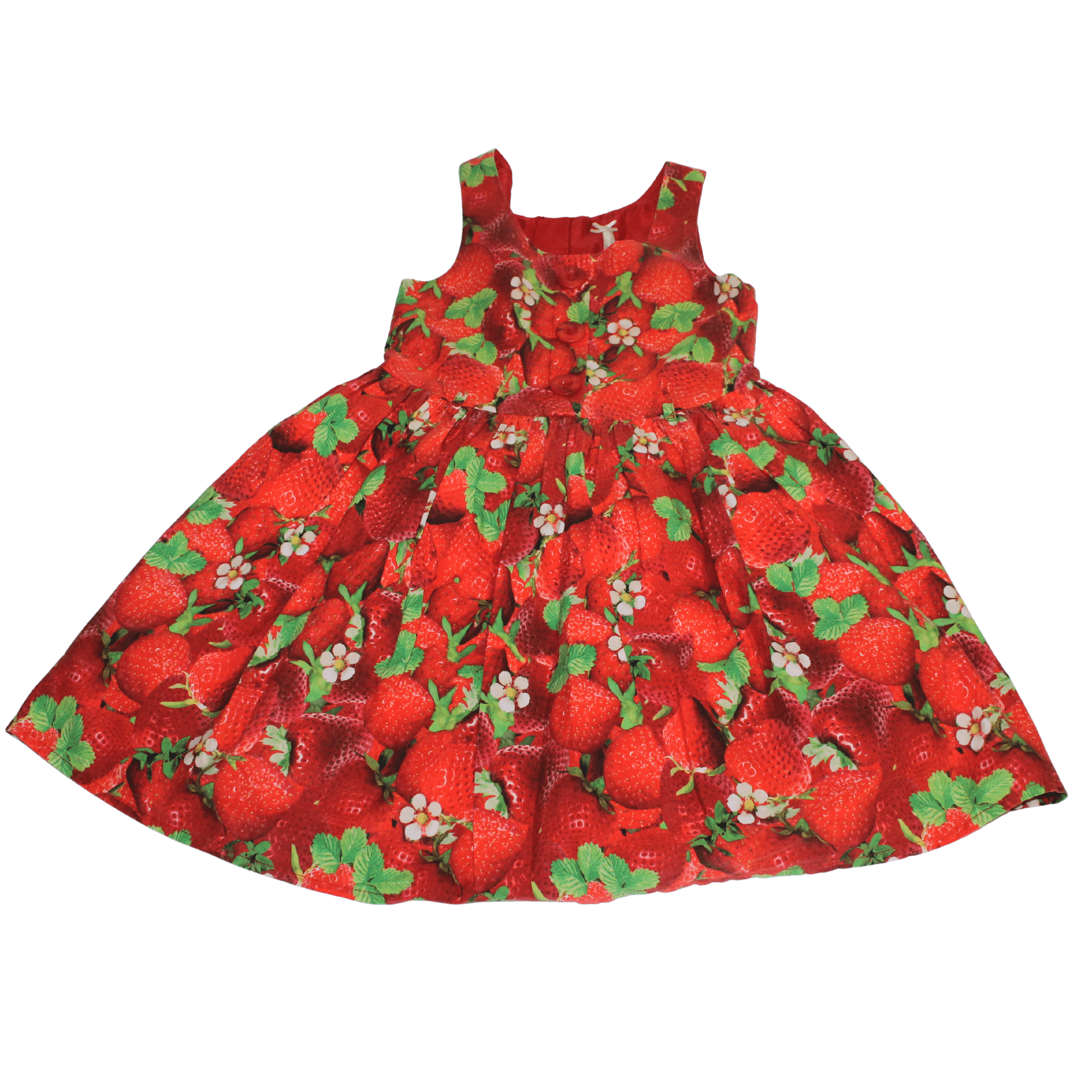 Strawberry Dress - 2nd Lyfe C.I.C