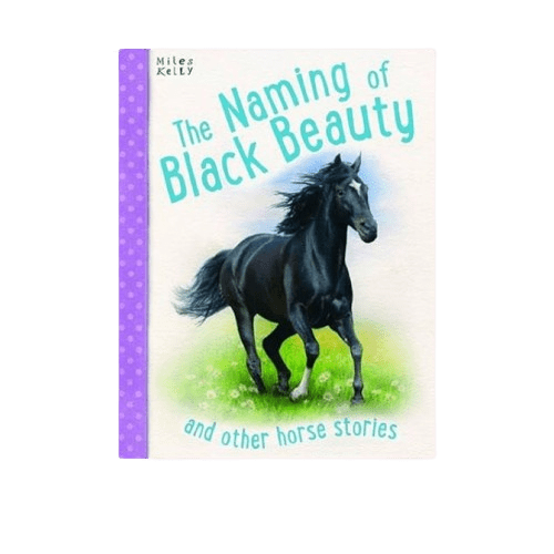 The Naming of Black Beauty - Paper Back - 2nd Lyfe C.I.C