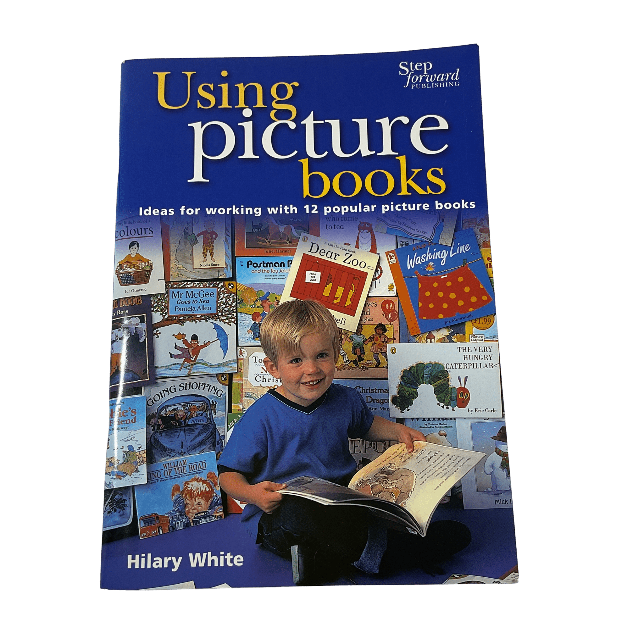 Using Picture Books - 2nd Lyfe C.I.C