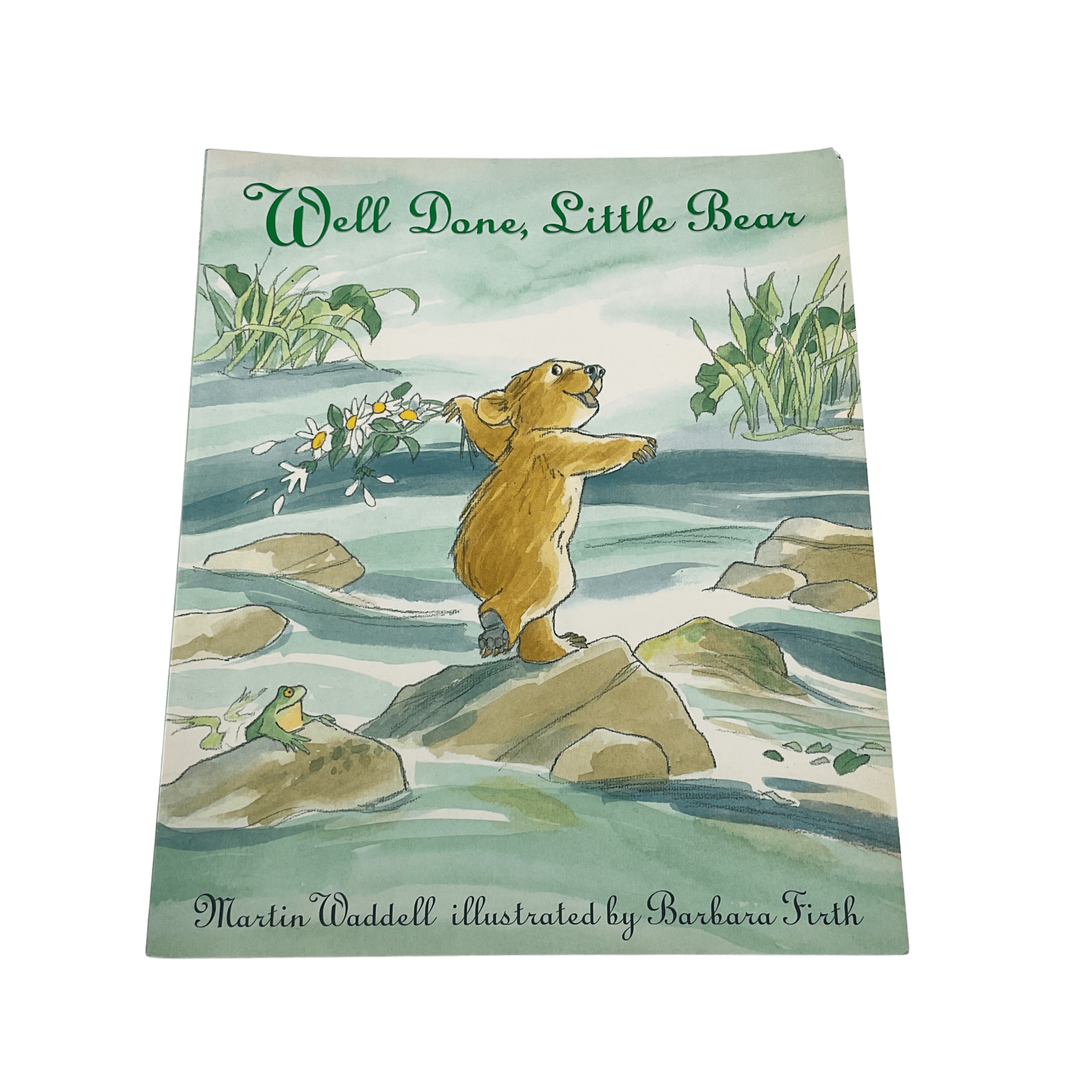 Well Done Little Bear - Paperback - 2nd Lyfe C.I.C